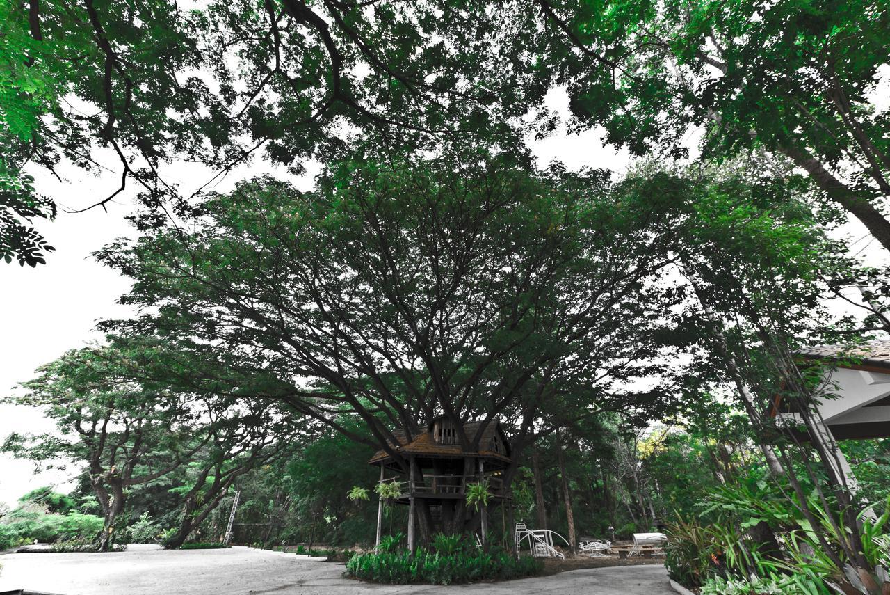 Tree House Hotel Sisaket Dış mekan fotoğraf